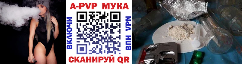 MEGA вход Мамадыш Alfa_PVP СК