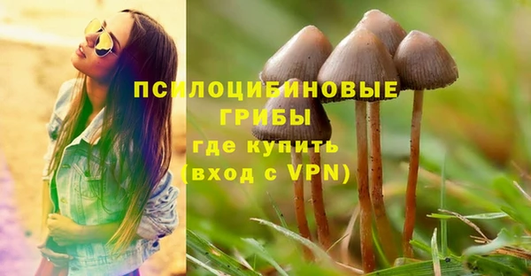 прущая мука Балахна