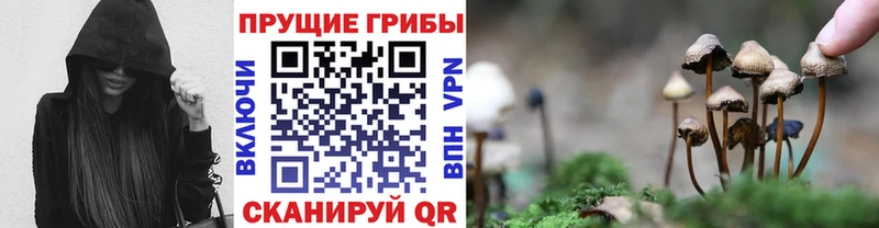 хочу наркоту  Мамадыш  Галлюциногенные грибы Magic Shrooms 
